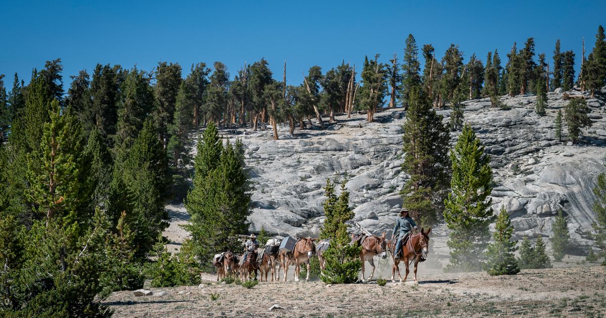 Snoqualmie Pass South Trailhead | Explore the Pacific Crest Trail